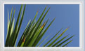 Annonces immobilieres Gard